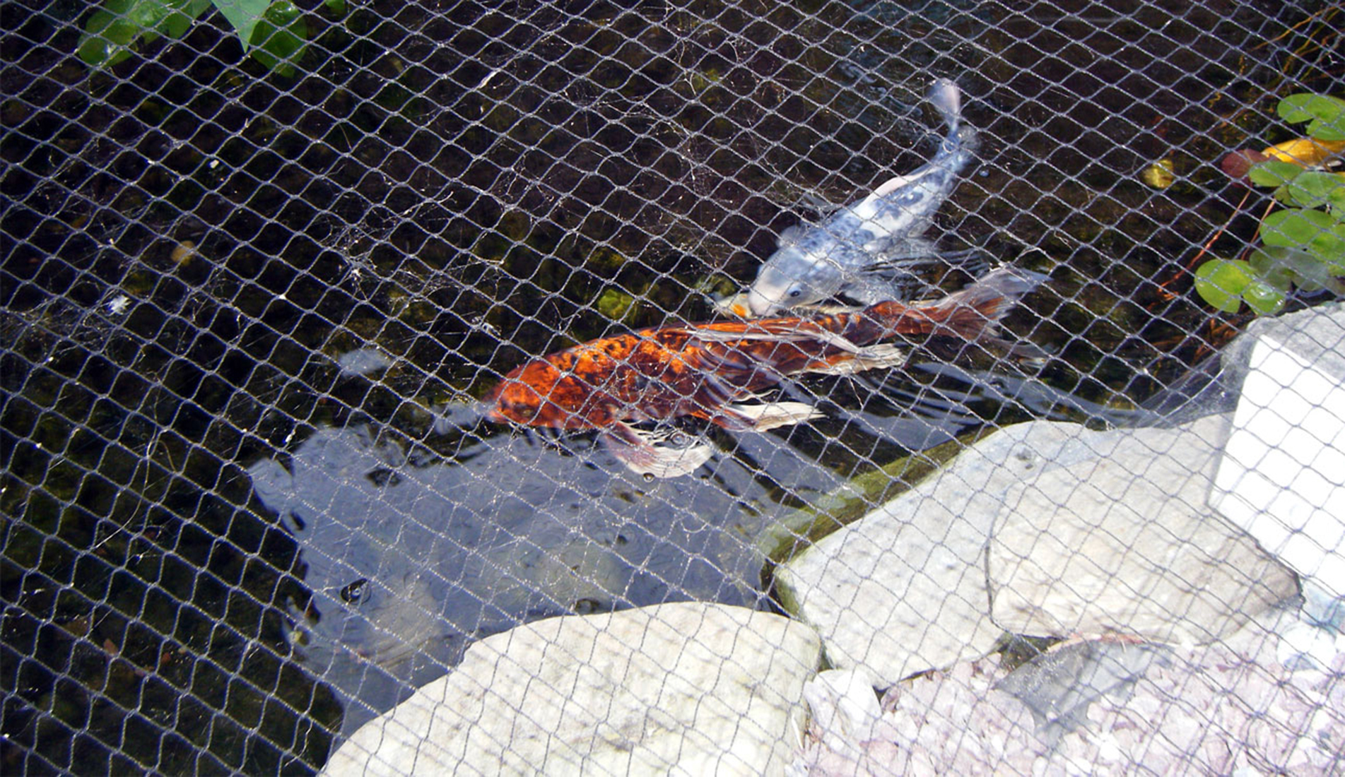 We Are Closer To Mansions Than Any Other B&B